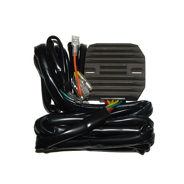 Electrosport Latauss./Tasasuunt. Bmw/Moto-Guzzi