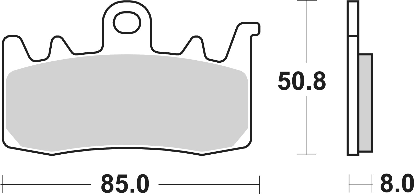 Sbs Jarrupalat Dual Carbon