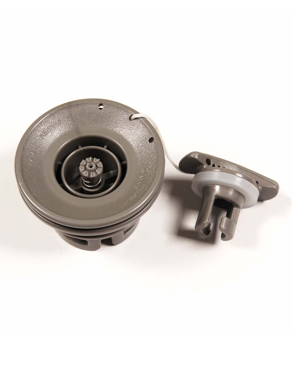 Halkey Roberts valve