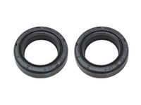 Psychic Fork Seal Kit 27X39X10.5 TC4