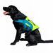 JOBE Pet koiran kelluntaliivi lime/teal