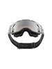 Alpinestars Goggle Supertech LTD DNGR38 XXV SILVER BLACK MIRROR SILVER