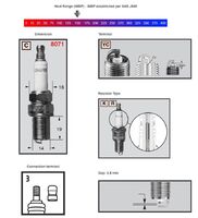 Champion Sytytystulppa RC12YC