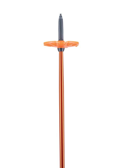 Scepter™ Adjustable Aluminium Pole