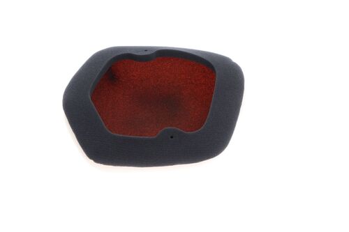 Twin Air Air Filter (FR) 155701C Ducati Desmo450 MX 25-..