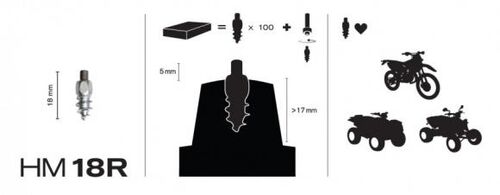 MaxiGrip Studs 18mm Racing 100pcs Inc insallation tool