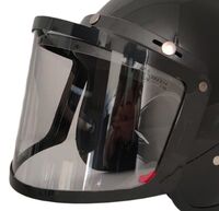 Snowpeople Basic clear Double visor