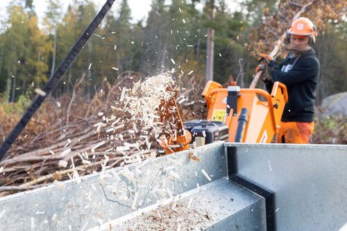 Bronco Haketin/Oksasilppuri