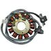 TNT Stator, Minarelli Horizontal-, Vertical-cylinder 03-, MBK / Yamaha, (Ducati)