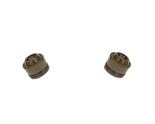 Naraku Valve seals (2pcs)
