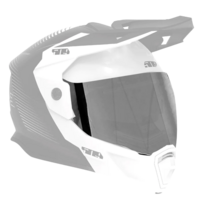 Ignite Dual Shield for Delta R4 Helmets