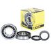 Scar Steering Stem Nut & Tool - Honda/Suzuki/Yamaha Blue Color