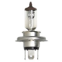 Flösser H4 12V 60/55W P43t