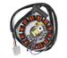 TNT Stator, Moric-model, Minarelli AM6 07- PowerUP, 12-pole