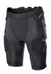 Bionic Pro Protection Pant
