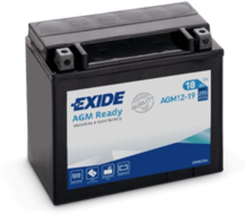 Exide akku AGM12-19