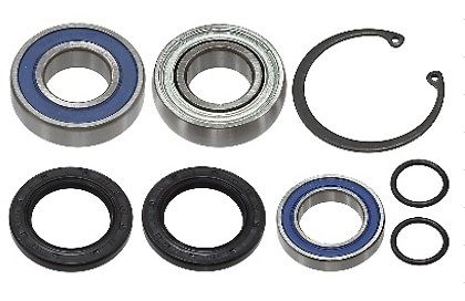 Sno-X Chain case bearing kit