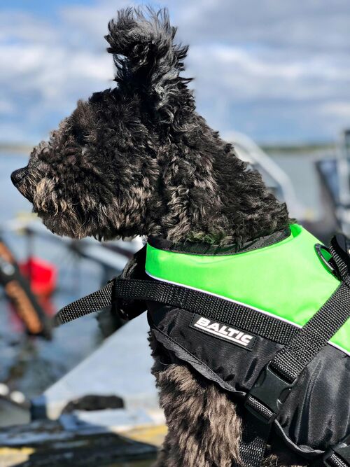 Baltic Mascot koiran kelluntaliivi vihreä/musta